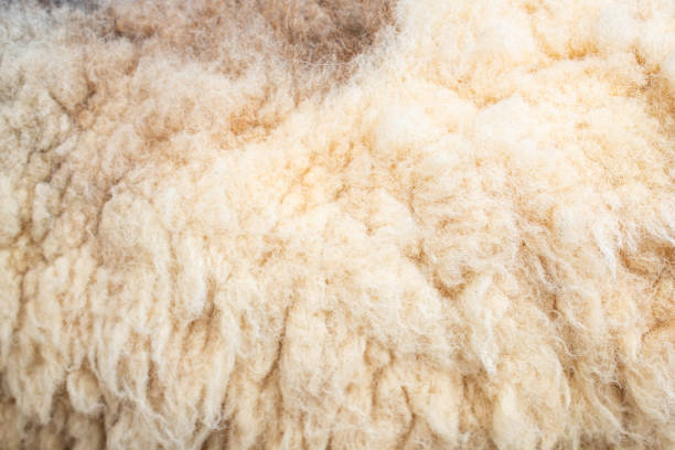 istock Natural of fleece texture background. 994959090