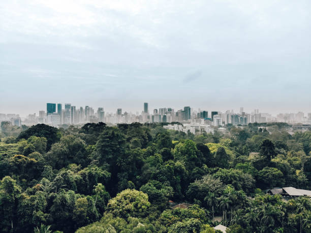 Urban jungle Drone shot of Botanic gardens with built up Singapore in the background. March 2018 singapore city stock pictures, royalty-free photos & images