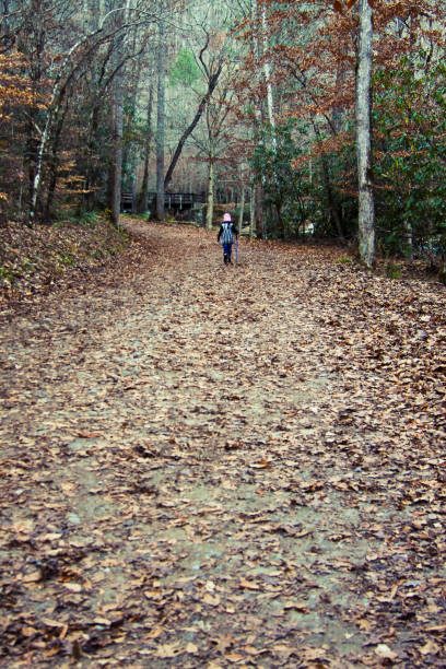 istock Forest trail in smoky mountains national park 994967100