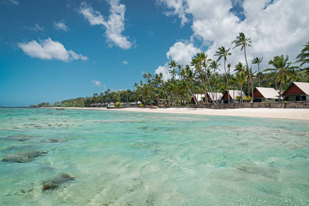 Beautiful Beach Fiji Western Division Scenic Waterfront