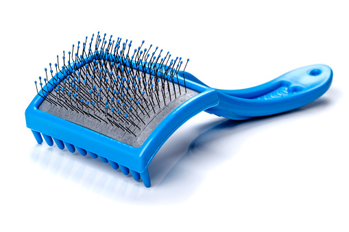 Blue plastic brush for combing animals on a white background.