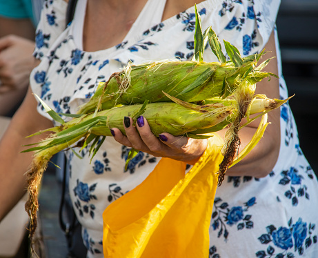 Woman holding unshucked corn on the cob at farmers Market