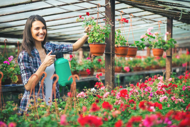 istock Young couple in greenhouse working with flowers 994984640