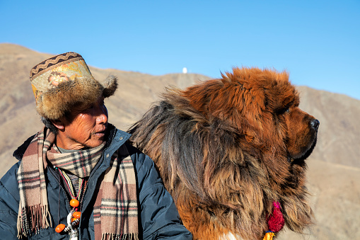 Shepherd with his Tibetan Mastiff Dog