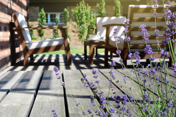 Lavender in the backyard garden terrace. Provence style tea time