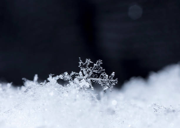 istock snowflake, little snowflake on the snow 995008232