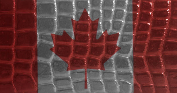 istock Canada flag on a snake skin leather texture 995010652