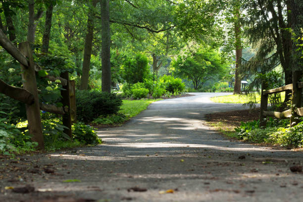istock Walking path in a park on a sunny summer morning 995022300