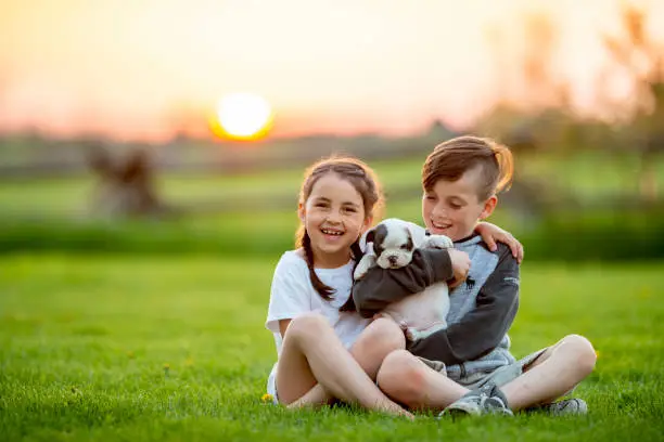A young girl and a boy are outdoors in a green field. They are holding a pup in her hand with care looking happy.