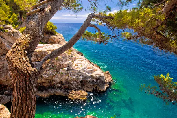 Zlatne Stijene stone beach in Pula view, Istria region of Croatia