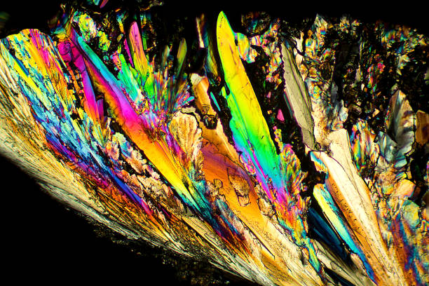 vibrant micrographie abstraite des cristaux de lysine à plumes. - scientific micrograph science bee abstract photos et images de collection