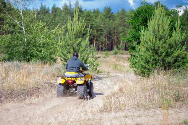 istock A man riding ATV on a sand road, back view 995071832