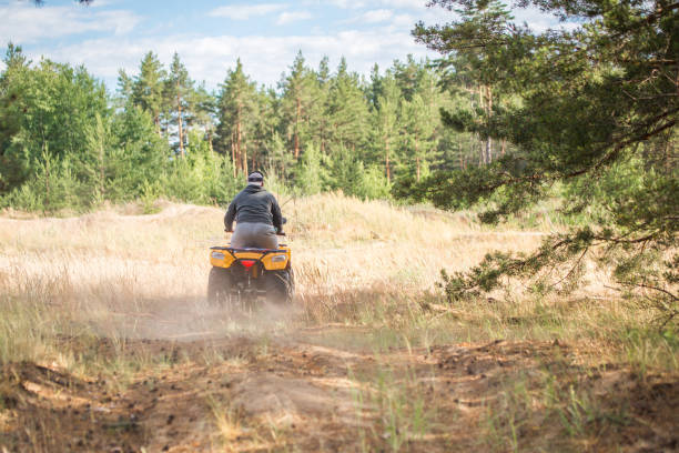 istock A man riding ATV on a sand road in a forest, back view 995076438