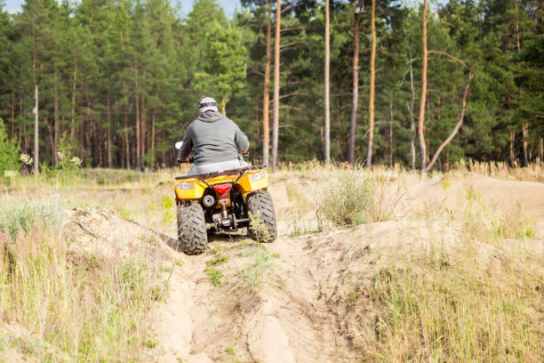 istock A man riding ATV on a sand road in a forest, back view 995076440