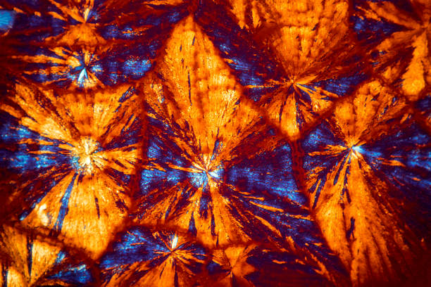 micrographie abstraite de lumineux orange motif de cristaux de lysine. - scientific micrograph science bee abstract photos et images de collection