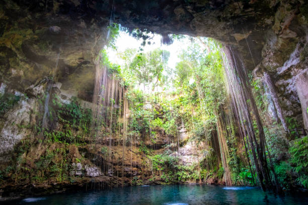 Cenote cave lake landscape view, Chichen Itza, Mexico Beautiful cenote cave lake landscape view, Chichen Itza, Mexico chichen itza photos stock pictures, royalty-free photos & images