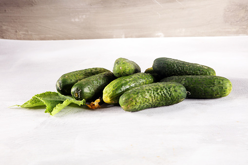 Fresh green cucumber with leaf and flower natural vegetables organic food.