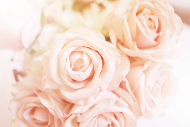 istock romance and sweet flower abstract background with color filter effect 995117256