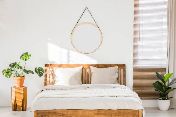 Photo of Sun shining on a white wall with a round mirror in a minimalist bedroom interior with natural, wooden furniture and beautiful green plants