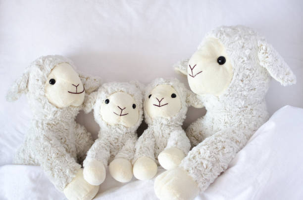 Sheep family lying in the bed