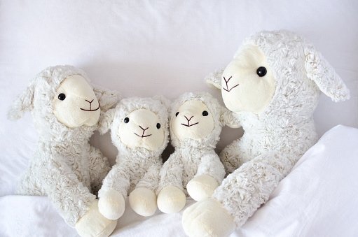 Sheep family stuffed toys animals lying in the bed. Family, togetherness, protection, parents sleeping with children concept. Top view.