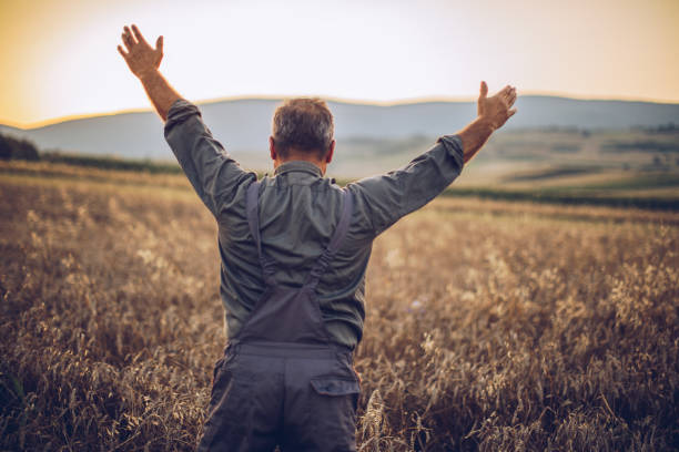 istock Farmer in yellow wheat meadow .Freedom concept 995136150