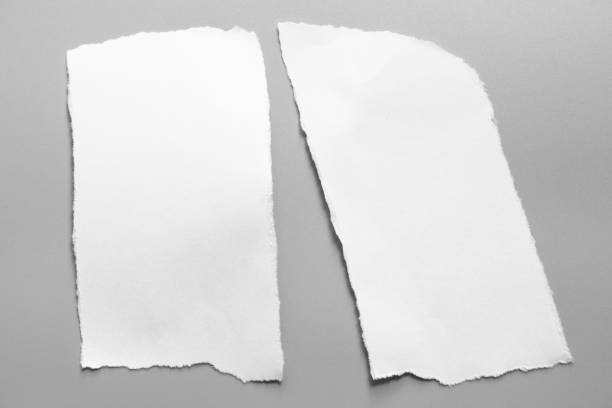 istock white torn paper on gray background. collection paper rip 995138448