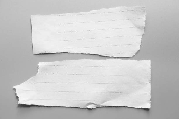 istock white torn paper on gray background. collection paper rip 995138544