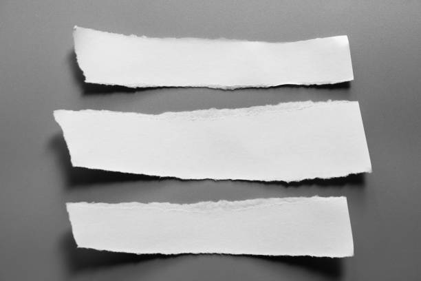 istock white torn paper on gray background. collection paper rip 995141110