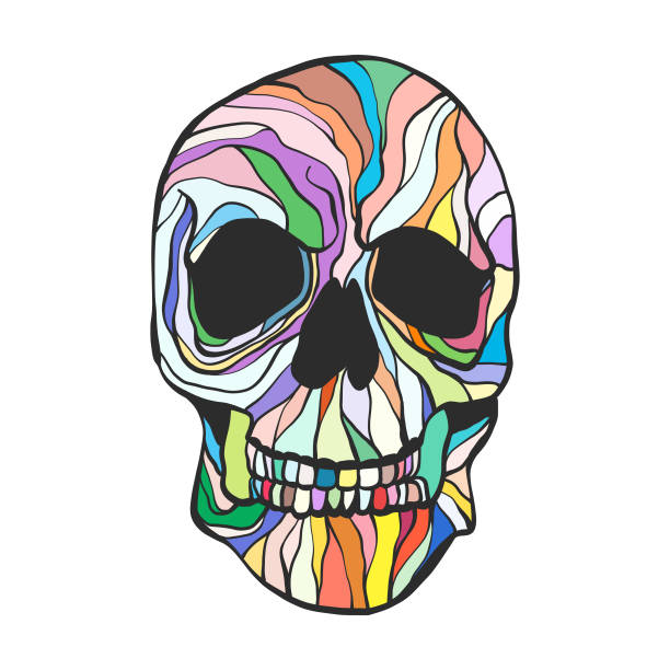 Colorful skull drawing Vector illustration of hand drawn colorful skull drawing cartoon skull stock illustrations