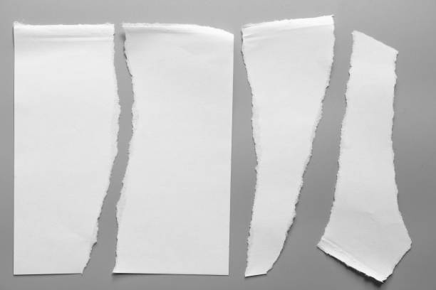 istock white torn paper on gray background. collection paper rip 995149126