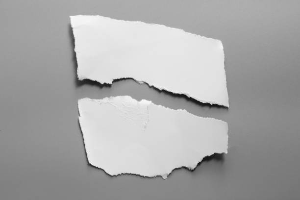 istock white torn paper on gray background. collection paper rip 995149328