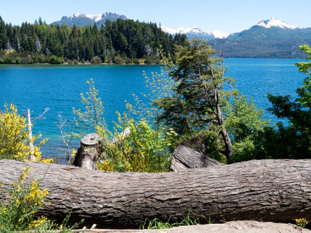 istock Lake Nahuel Huapi as seen from Isla Victoria 995157978
