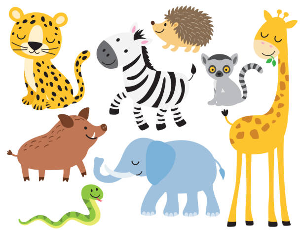 Cute Wild Animal Vector Illustration Vector illustration of cute wild animals including leopard, zebra, giraffe, elephant, boar, hedgehog, snake, elephant and lemur. hedgehog animal mammal isolated stock illustrations