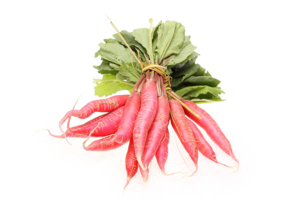 istock Long red radish with leaves on white background 995206366