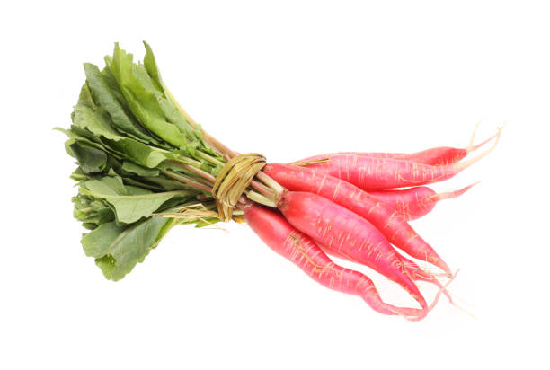 istock Long red radish with leaves on white 995206416
