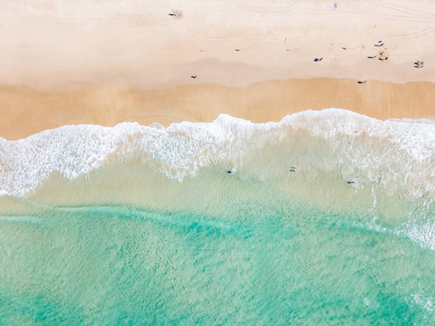 istock An aerial view of the beach 995217784