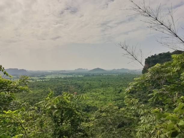 istock Sky, mountain and forest in cloudy day. 995222704