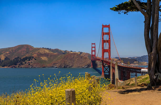 istock Golden Gate bridge in San Francisco on a clear day 995239178