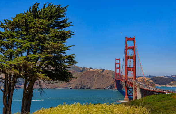 istock Golden Gate bridge in San Francisco on a clear day 995239182