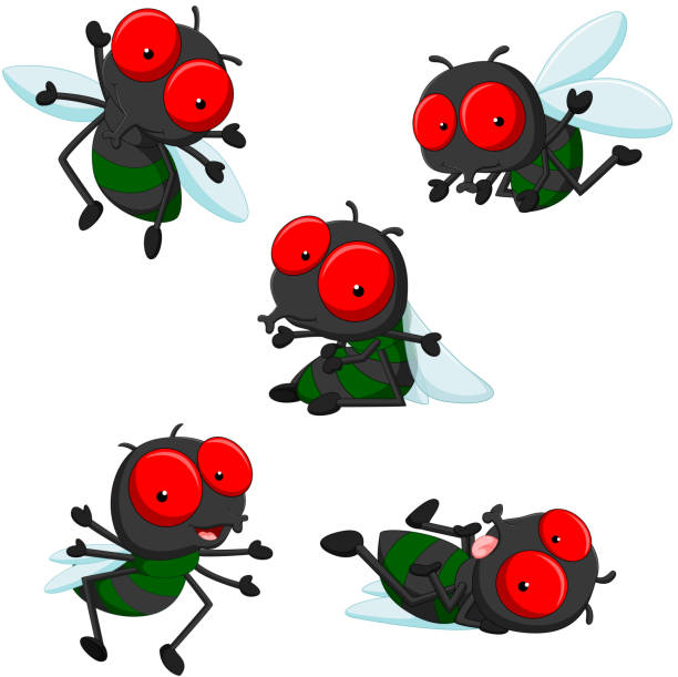 sammlung von niedlichen kleinen cartoon fliegen - fly housefly ugliness unhygienic stock-grafiken, -clipart, -cartoons und -symbole