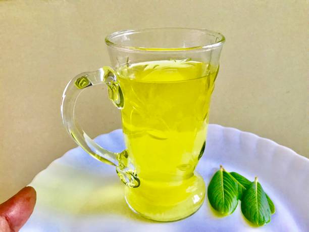istock Ayurvedic herbal medicine logo 995247636