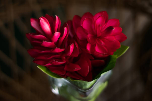 istock Flowers in Glass Tabletop Vase 995252402