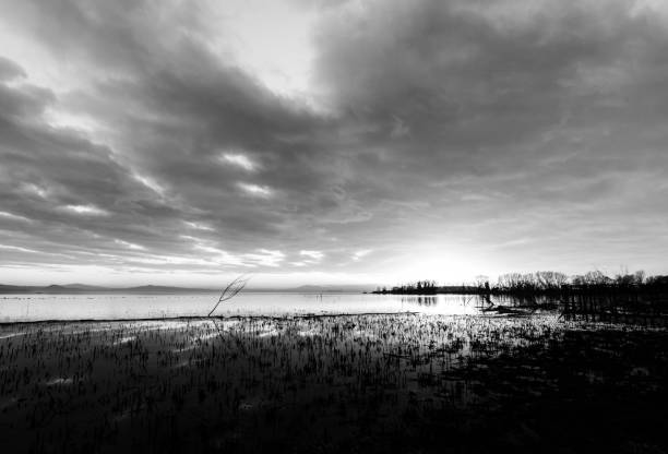 istock Moody lake shore at sunset, with sun light reflecting on water, and skeletal trees 995261054