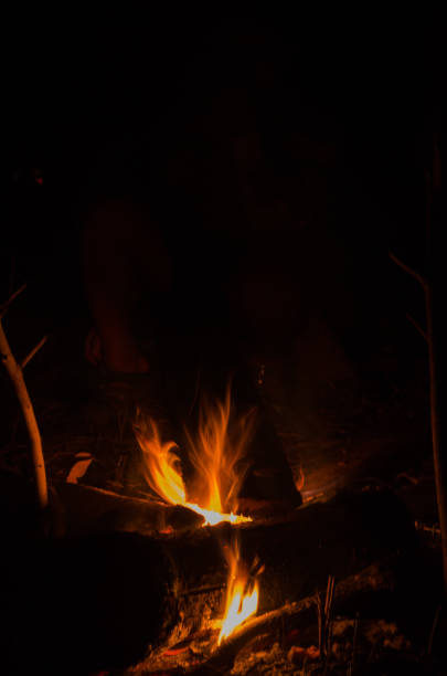 istock the bonfire is burning firewood 995267092