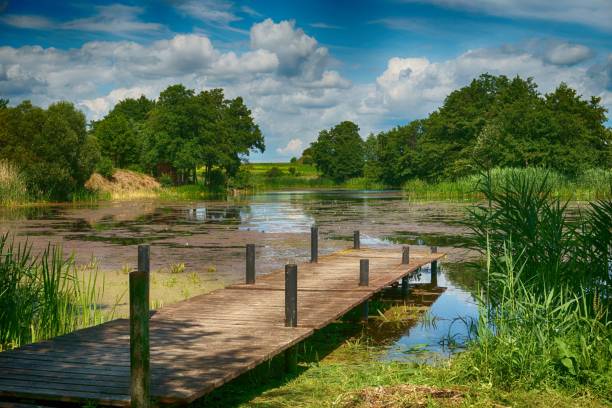 istock Lake and bridge with blue cloudy sky 995270218