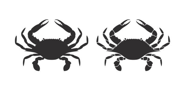 силуэт краба. изолированный краб на белом фоне - crab stock illustrations