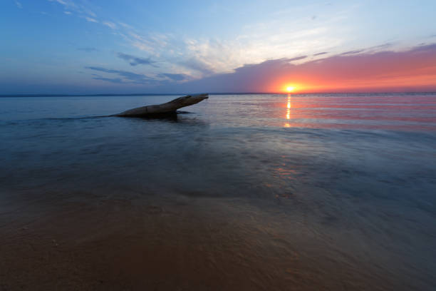 istock morning dawn log on the shore 995273006