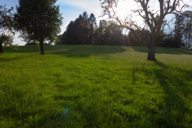 istock allgau south bavarian landscape 995278850