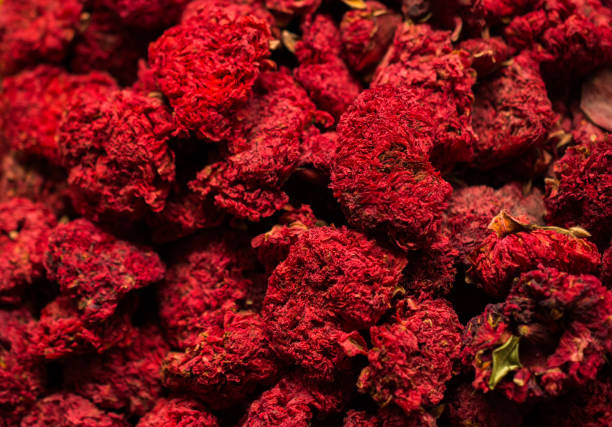 istock Dry herbal plants for remedy in view 995279432